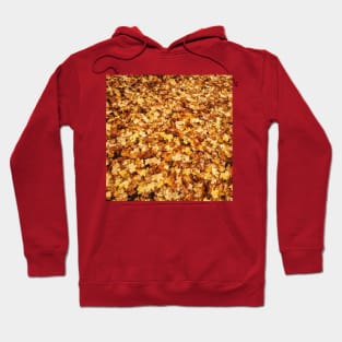 Gold yellow fall maple leaves Hoodie